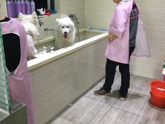 -暖阳宠物医院·犬猫康复中心·骨科
