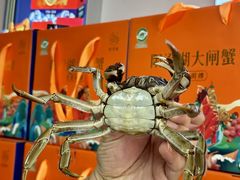 -阳澄湖大闸蟹·琼灵阁牌品牌连锁(吴中总店)