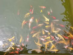 -宝界普菲特湖畔酒店