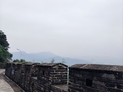 -天鹿湖森林公园