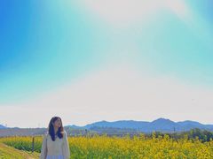 -光明小镇欢乐田园