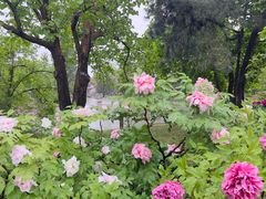 -国家植物园南园