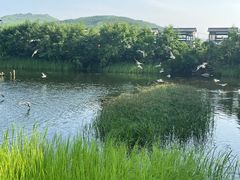 -珲春防川景区