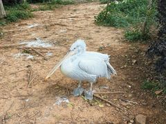 -无锡动物园·太湖欢乐园