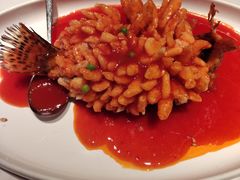 -森隆饭庄(崇文门新世界百货店)