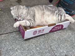 -真打拉面·日式拉面新流派(体育西横街店)