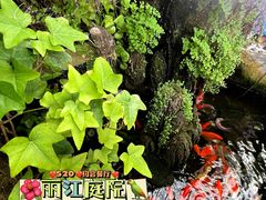 -丽江庭院之爱在路上(西单店)