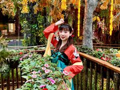 -正佳雨林生态植物园