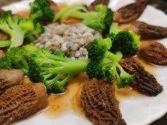 -菌海森林·非遗野生菌火锅(西山区滇池路摩根道店)