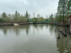 -溱湖国家湿地公园