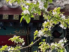 -元大都城垣遗址公园