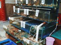 水产区-香满居张记小厨私房菜(青岛站店)