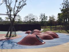 -春花秋色城市公园