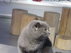 -极木²邸 人与宠物·互动社区