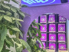 -喜乐村芋泥脑袋家族(三里屯店)