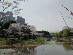 -堤角公园