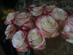 -L.C FLORA花予你(城西银泰城店)