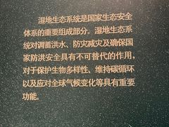 -中国湿地博物馆