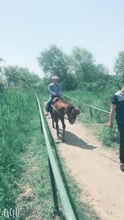 -扬州天乐湖嬉乐谷