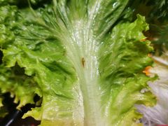 -呷哺呷哺(望京新世界店)