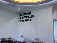 -大象音乐·吉他·架子鼓·声乐(双井店)
