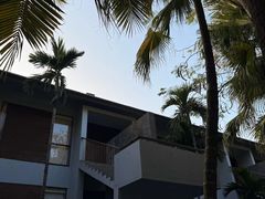-日落吧·海景咖啡厅·餐酒吧·鸡尾酒·下午茶·乐队表演·浪漫夕阳·三亚文华东方酒店