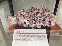 -中国第四纪冰川遗迹陈列馆