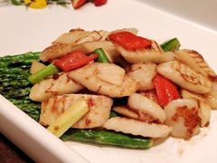 XO酱鲜芦笋炒澳带-富淳饭店(陆家嘴保利广场店)