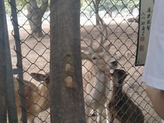 -西安秦岭野生动物园