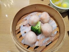 柏悦虾饺皇-宴会中心