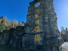 -汤旺河林海奇石景区