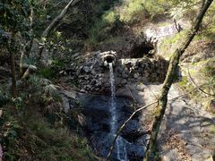 -宁波市保国寺古建筑博物馆