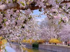 -元大都城垣遗址公园