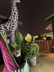 -小蜜蜂农场(凯德七宝购物广场店)