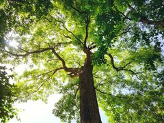 -北京上方山国家森林公园