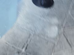 -董府·古宅餐厅