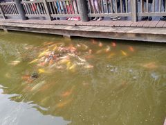 -枫香湖儿童公园