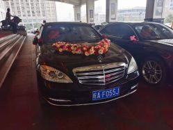 -蚂蚁婚车