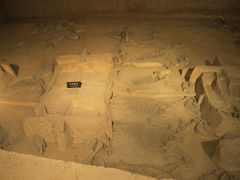 -洛阳周王城天子驾六博物馆