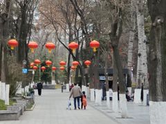 -莲湖公园