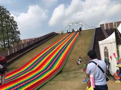 -黄海国家森林公园