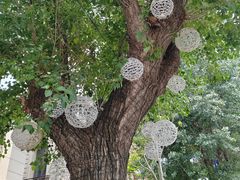 -南山鲜虾面·活鲜小馆·海味大连菜(南山总店)