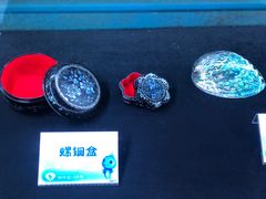-贝壳梦幻世界
