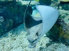 -海合安武汉极地海洋公园