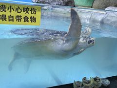 -苏州海洋馆