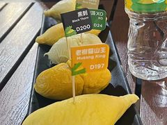 -榴莲BB 四季果园