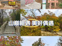-金龙寺国家森林公园