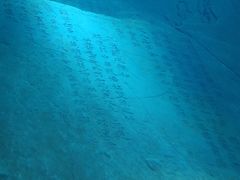 -白鹤梁水下博物馆