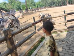 -大连森林动物园