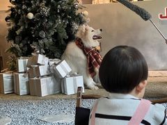 -J Create城市露营咖啡·简餐·宠物(上海动物园店)